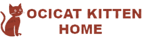 Ocicat Kittens Home